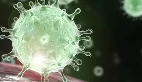 UEA realiza evento que esclarece sobre coronavírus em Manaus