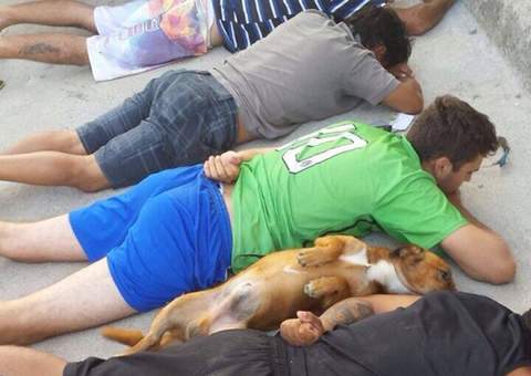 Ao receber ordem, cachorro se deita ao lado de suspeitos em abordagem policial 