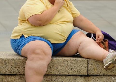 As 10 capitais mais gordas do Brasil