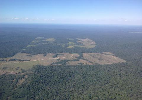 Polícia Civil participa de missão do Ibama