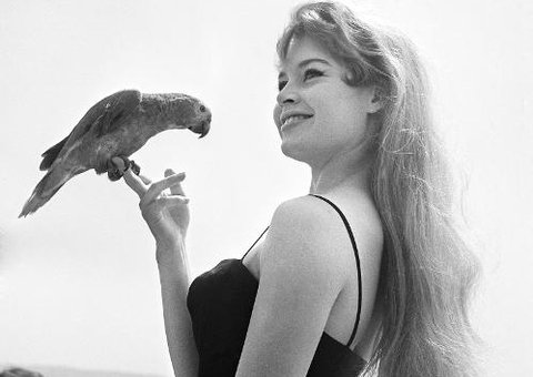 Ícone da década de 50, Brigitte Bardot completa 80 anos