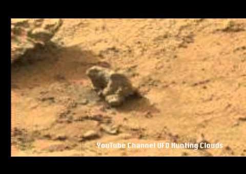 NASA encontra possível fóssil de iguana em Marte