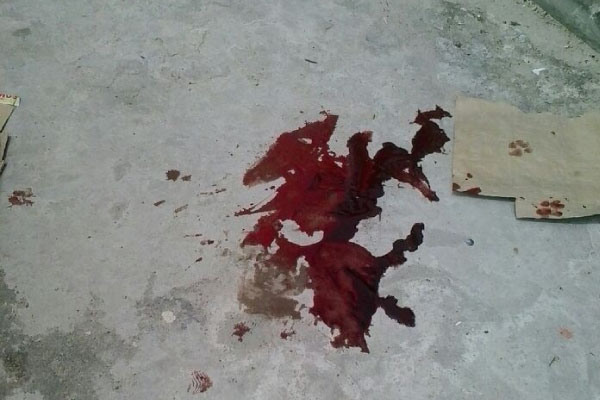 Assassinado com tiro na cabeça