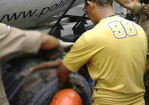 Garoto com bicicleta pega 'carona' em caminhão e tem cabeça esmagada