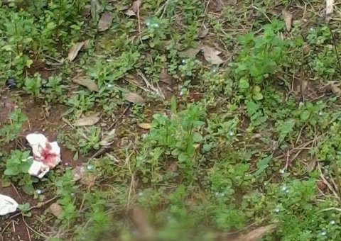 Criança recém nascida é encontrada morta atrás de colégio