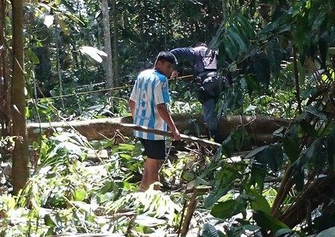 Após denúncias policiais retiram invasores de área verde no Parque das Graças