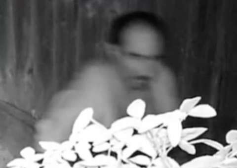 Homem é procurado por fazer cocô no jardim dos vizinhos