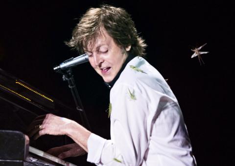 Grilos invadem show de Paul McCartney em Goiânia