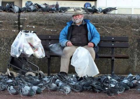 Homem pombo é preso por alimentar passáros