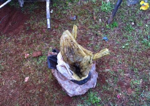 Restos mortais são vistos perto do Costa Concórdia