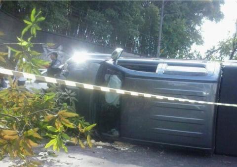 Pick-up perde o controle e derruba árvore no V8