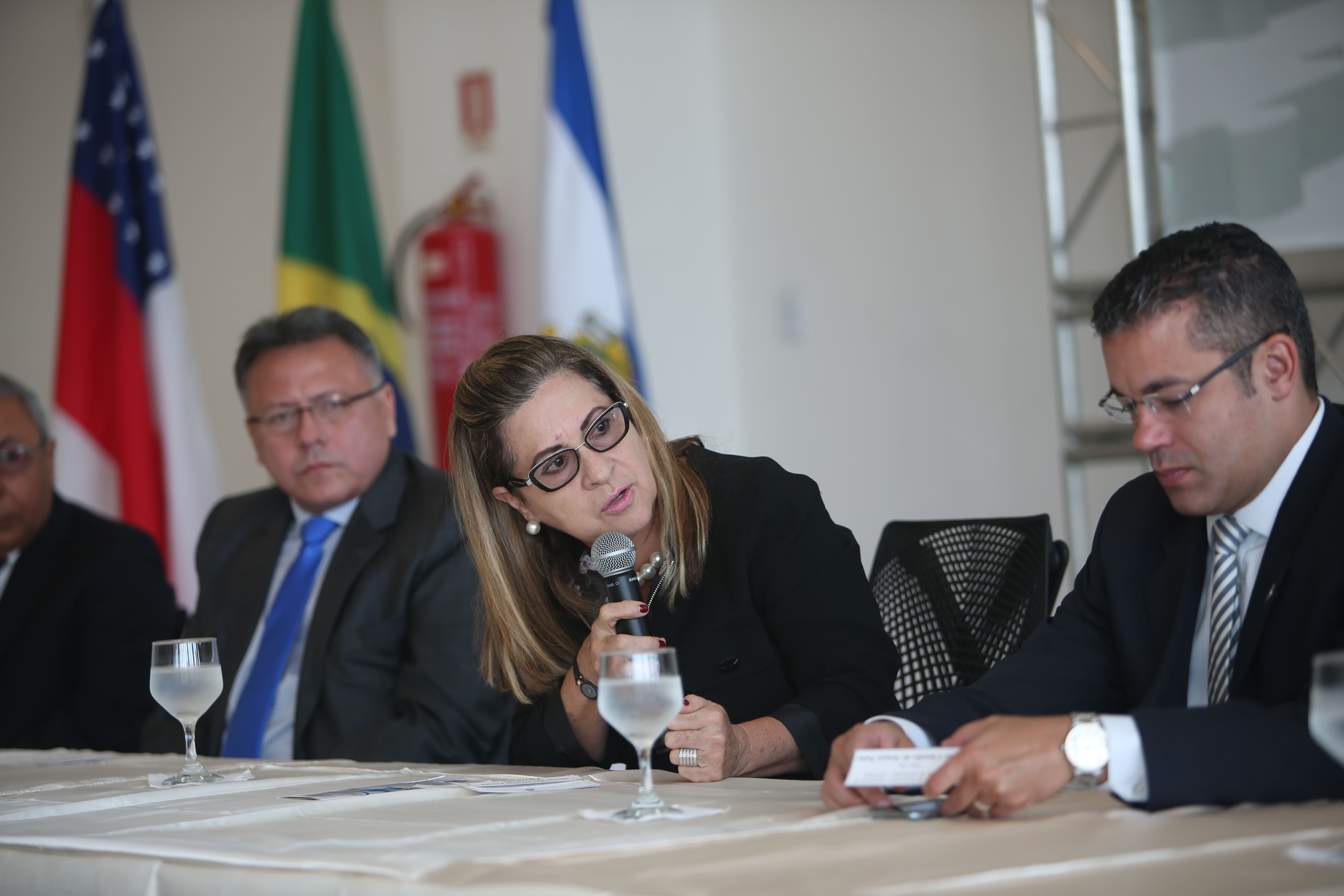 Graça Figueiredo abre workshop de conciliação