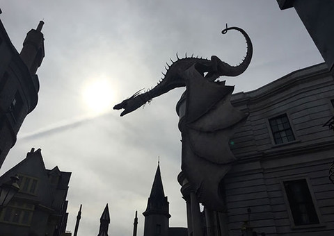 Cliques impressionantes mostram fotos que foram capturadas no momento perfeito; Veja