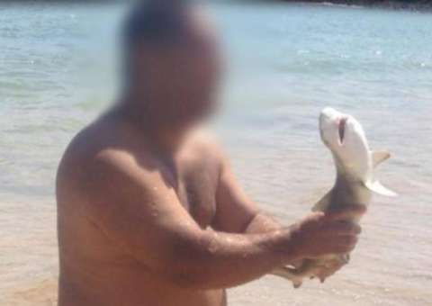 Pessoas atacam tubarões em Fernando de Noronha