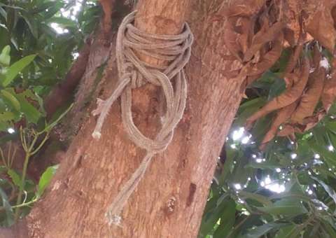 Jovem é encontrado enforcado na Compensa 1