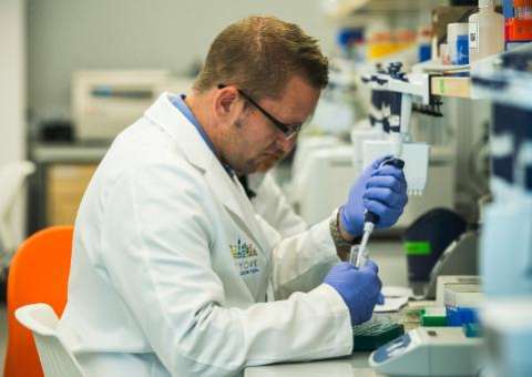 Cientistas clonam pela primeira vez células adultas para criar células-tronco embrionárias