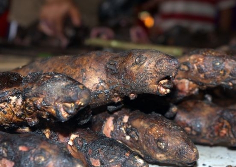   Governo chinês pede que população pare de comer ratos, morcegos e cobras
