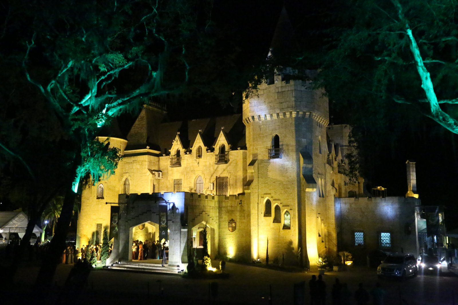  Com convidados famosos, sobrinha de Angélica se casa em castelo; veja fotos