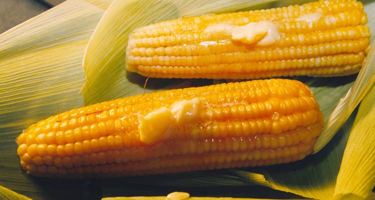 Presidente Dilma Rousseff sanciona o Dia Nacional do Milho