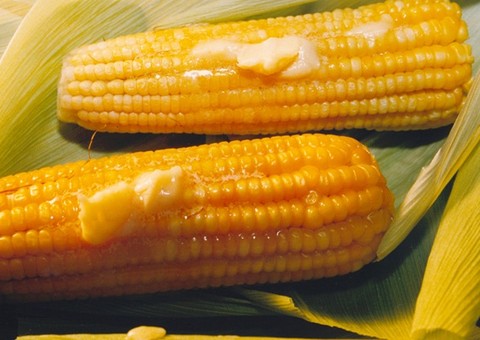 Presidente Dilma Rousseff sanciona o Dia Nacional do Milho