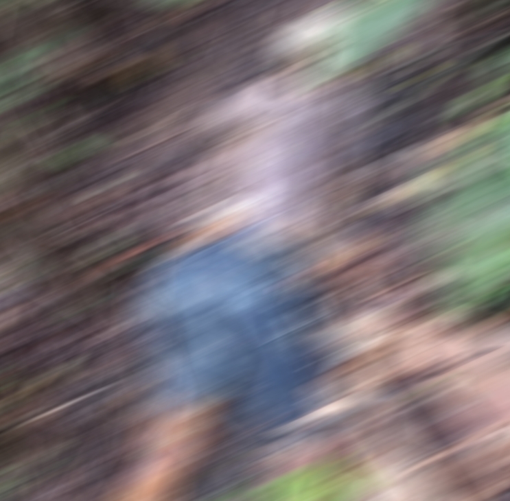 Corpo de homem com crânio exposto e perfurações é encontrado no Tarumã