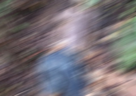 Corpo de homem com crânio exposto e perfurações é encontrado no Tarumã