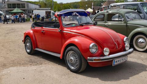 Parque Municipal recebe mostra de carros clássicos neste fim de semana