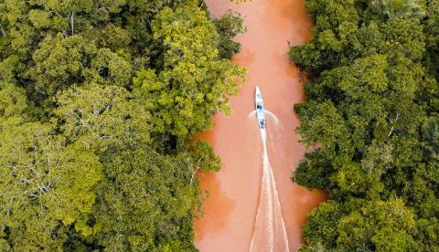 Pesquisa científica internacional tem a Amazônia como foco de estudos sobre clima e biodiversidade