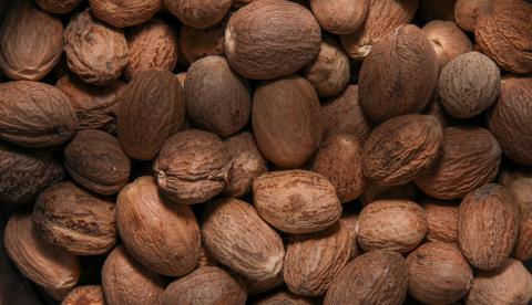 Sementes aromáticas usadas como tempero na Amazônia