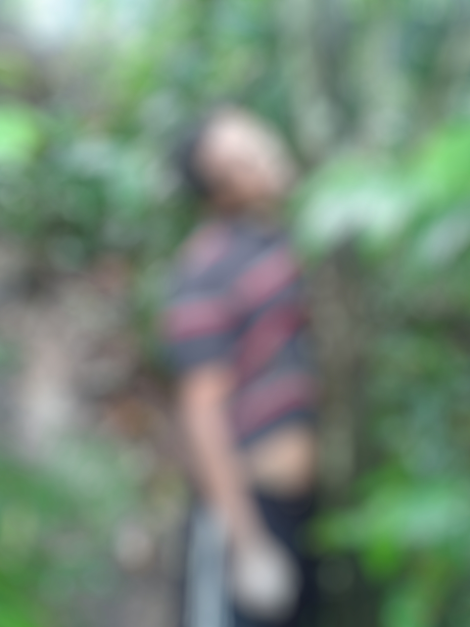 Cadáver é encontrado preso à árvore na Cidade Nova