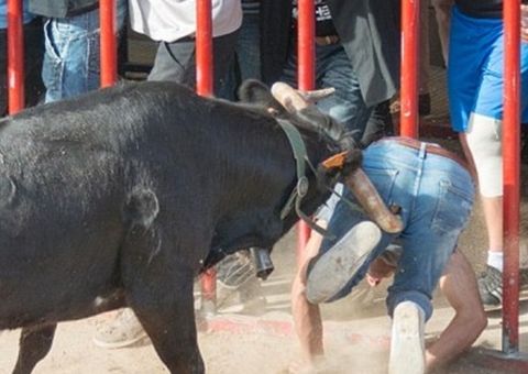 Jovem provoca e leva chifrada de touro em festival espanhol