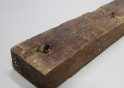 Mulher é morta a pauladas dentro de casa