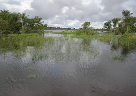 Homem vai procurar guarda-chuva que caiu em rio e morre afogado em Iranduba