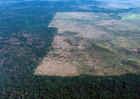 ONG denuncia assassinatos impunes de ecologistas no Brasil