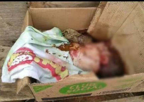 Catadores de lixo encontram bebê morto numa caixa de papelão