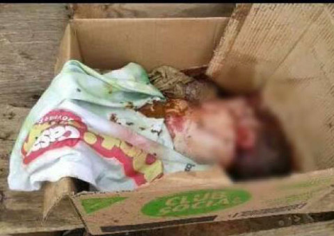 Catadores de lixo encontram bebê morto numa caixa de papelão