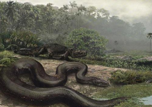 Pesquisadores descobrem cobra capaz de comer um crocodilo inteiro 