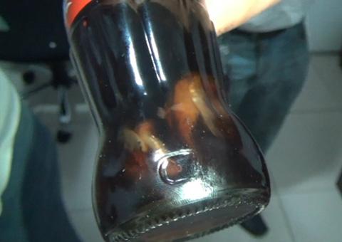 Animal é encontrado novamente em garrafa de Coca-Cola em Teresina-PI