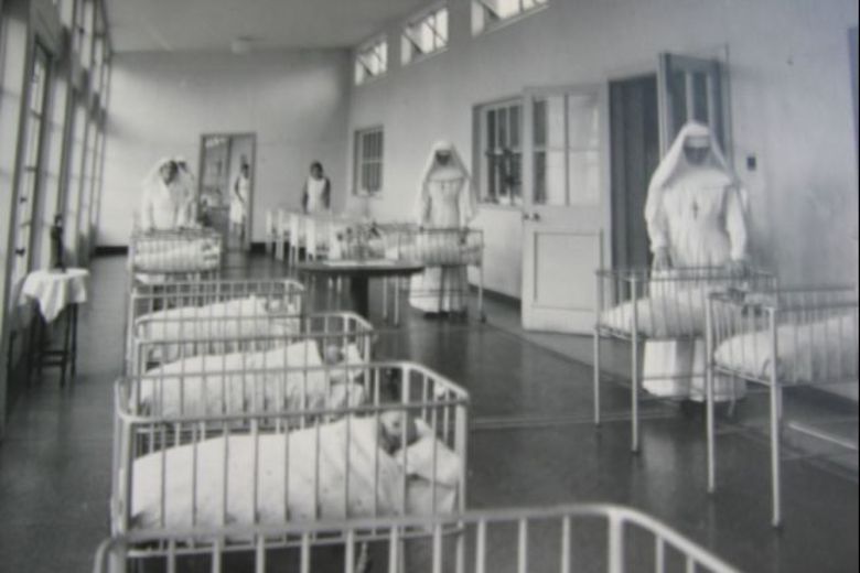 Crianças encontram quase 800 bebês mortos no quintal do sítio