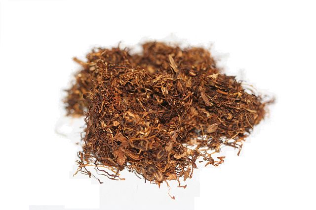 640px-shag-tobacco-01_xndr.jpg