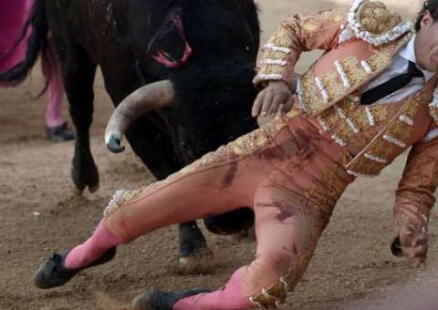 Toureiro premiado morre após ter pulmão perfurado por touro 
