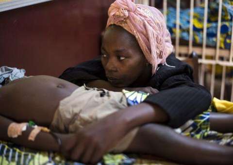 Apenas um gene permite ao mosquito resistência aos inseticidas