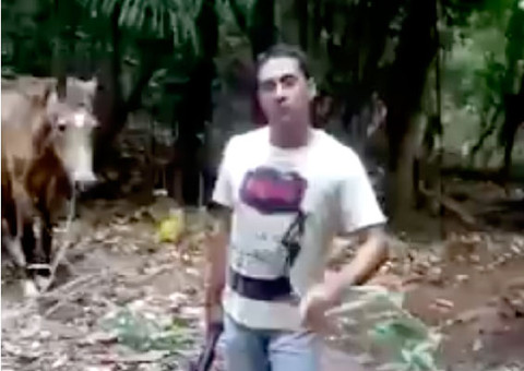 Homem mata cavalo com tiro de espingarda