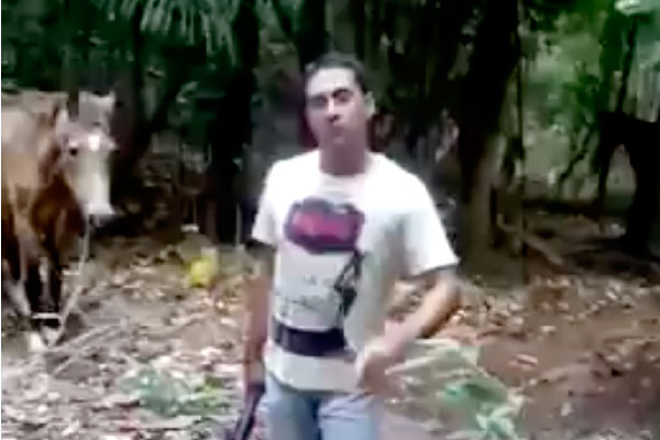 Homem mata cavalo com tiro de espingarda