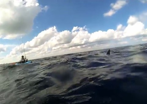 Dois canoístas são perseguidos por tubarão  