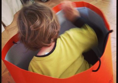 Luciana Gimenez posta foto do filho dentro de sacola de grife e solta "criança de pobre brinca em caixote de papelão"