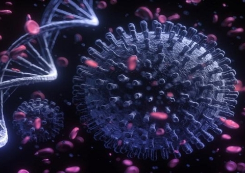 Piauí confirma primeiro caso da variante amazônica do coronavírus no estado