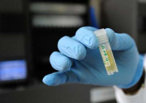 Cientistas produzem cromossomo artificial de levedura