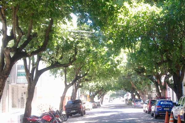 Moradora de rua é assassinada no Centro de Manaus