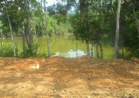 Leitor do Portal denuncia destruição de área de preservação permanente no Tarumã